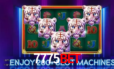 7775Bet App